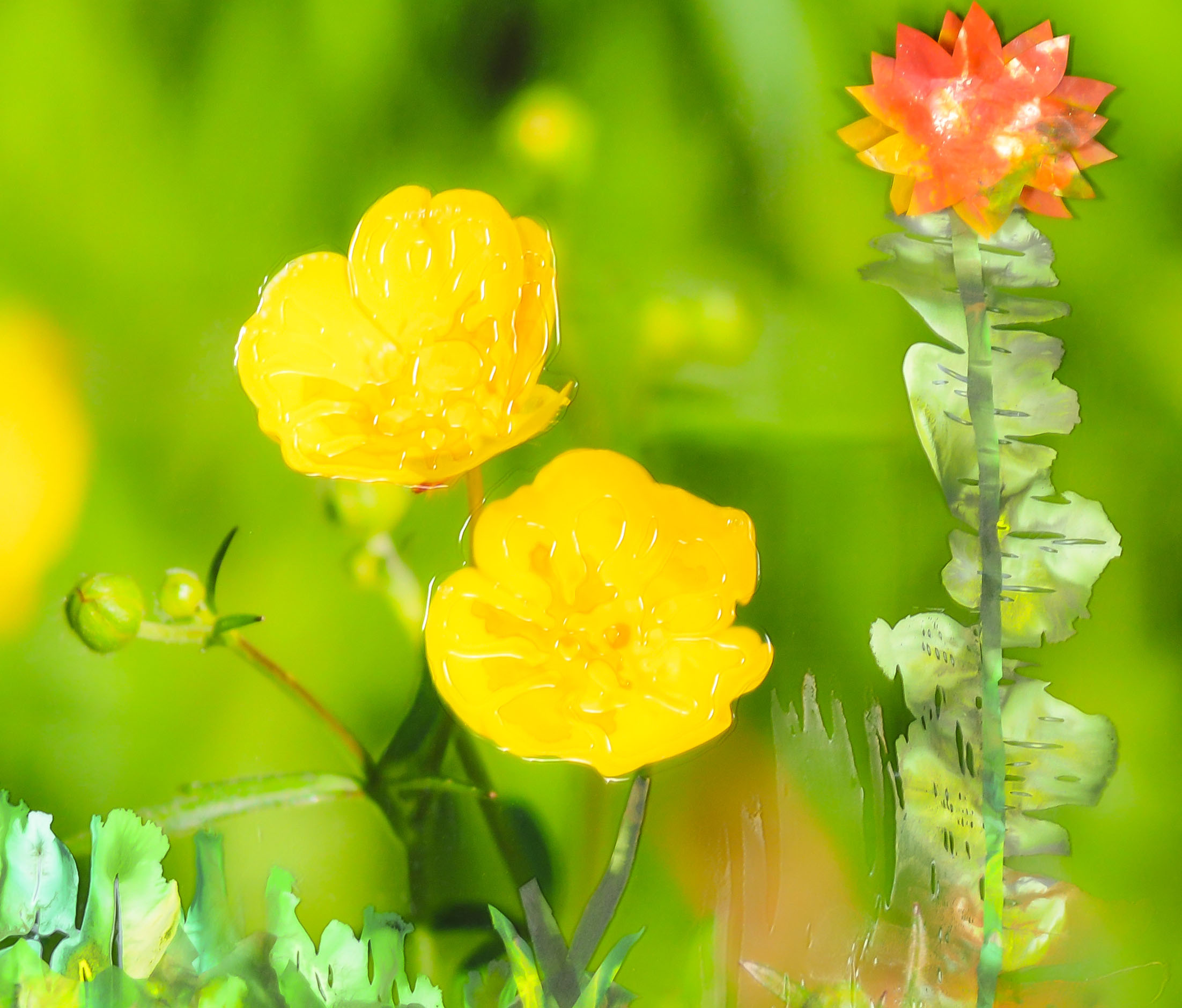 Blumenwiese – Bild 3